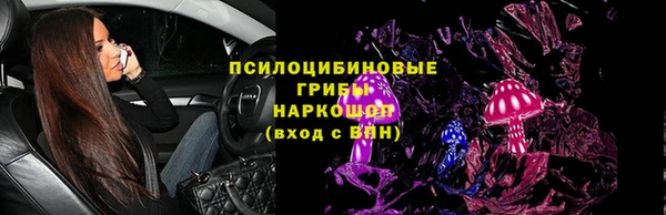 мяу мяу мука Корсаков