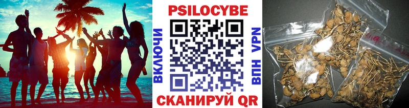 Псилоцибиновые грибы мухоморы Калининград