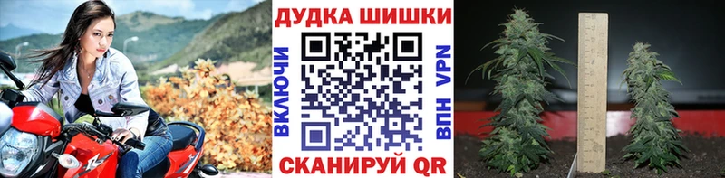 МАРИХУАНА ГИДРОПОН  где можно купить   Калининград 